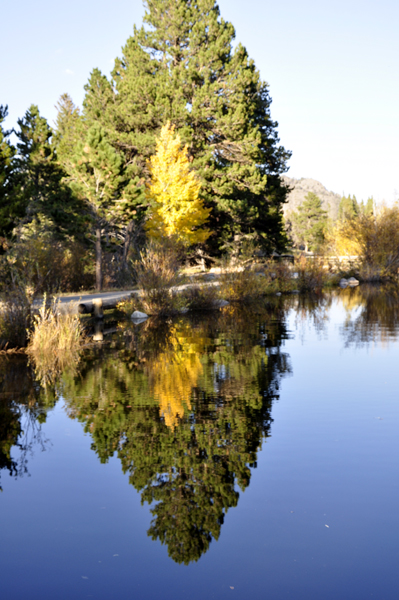 reflections at sprague lake at Rocky Mountain National Park